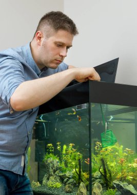 Handsome man catching fishes in the aquarium. clipart