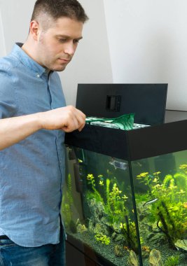 Yakışıklı adam içinde belgili tanımlık akvaryum balıkları yakalamak.