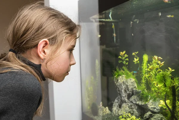 Niña mira a los peces en el acuario . —  Fotos de Stock