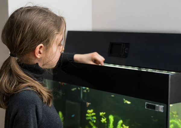 Little girl feeding fishes in the aquarium. — Stock Photo, Image