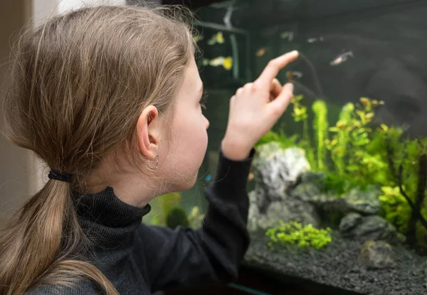 Kleines Mädchen betrachtet die Fische im Aquarium. — Stockfoto