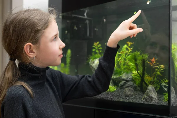 少女は、水族館の魚を見てください。. — ストック写真