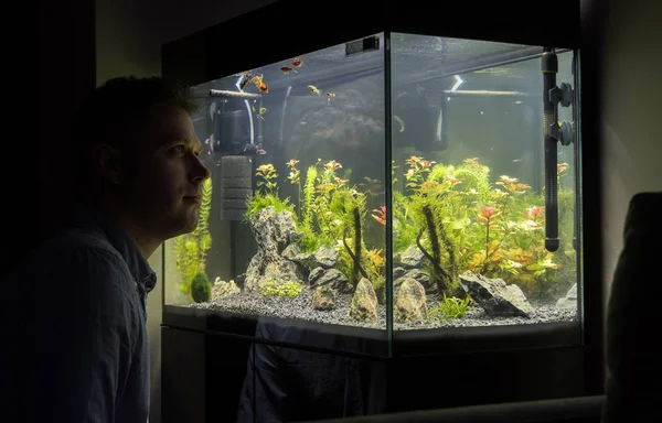 Handsome man looks at the fish in the aquarium at home. — Stock Photo, Image