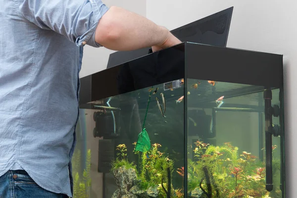 Man catching fishes in the aquarium. — Stock Photo, Image