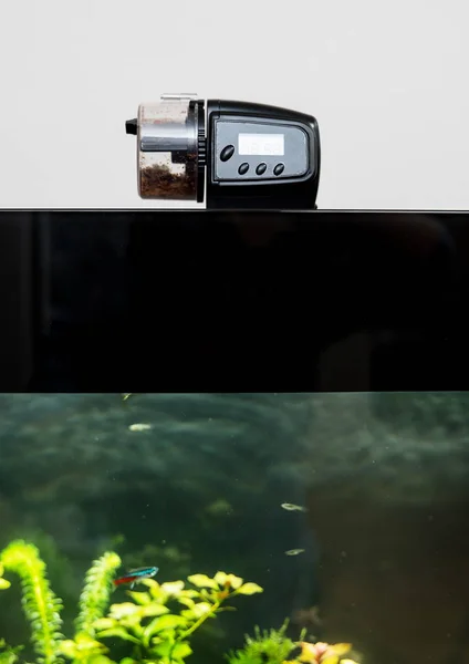 Alimentatore automatico per pesci in piedi sul coperchio dell'acquario . — Foto Stock