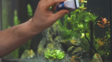 Manyetik temizleyici kullanan erkek el temizleme akvaryumu.