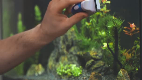 磁気クリーナーを使用した男性ハンドクリーニング水族館 — ストック動画