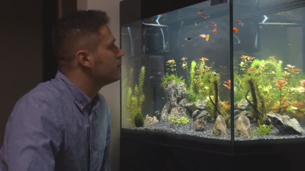 Knappe Man Kijkt Thuis Naar Vissen Het Aquarium — Stockvideo