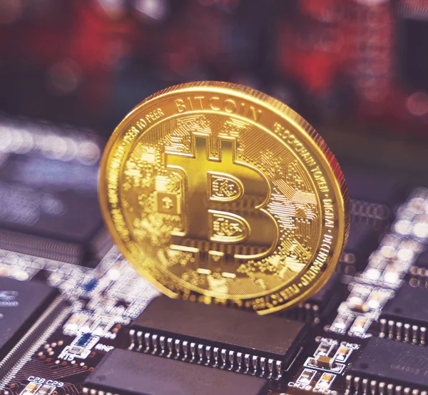 Altın bitcoin ve ekran kartı. Cryptocurrency incelemesi kavramı.