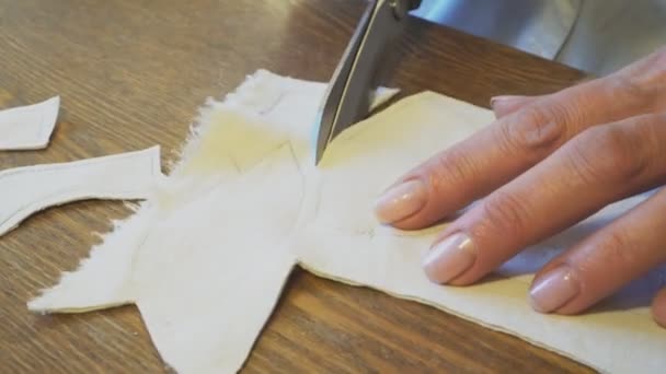 Woman Cutting Mockup Details Scissors — 비디오