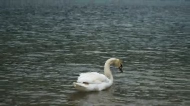 Como gölünden Brunate dağ manzarası.