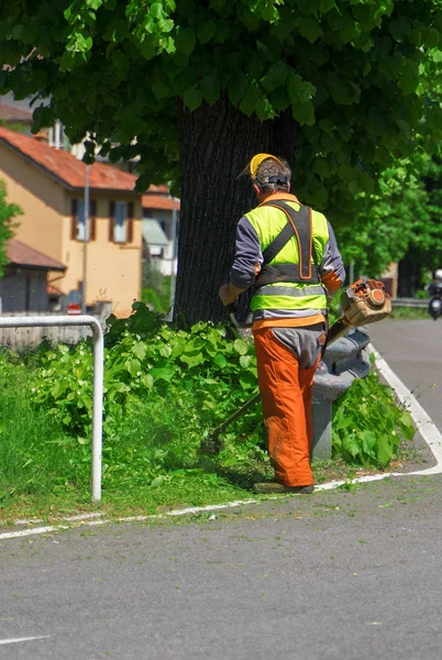 Pekerja laki-laki memotong rumput dengan menggunakan pemangkas rumput listrik . — Stok Foto