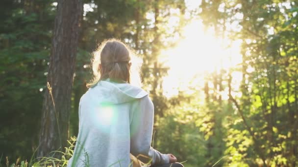 Klein meisje ontspannen in het bos in de zomer. — Stockvideo