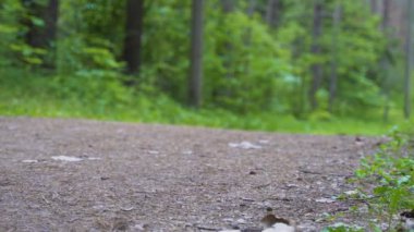 Adam ormanda yol boyunca koşuyor. Kamera aşağıdan vuruyor.