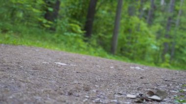 Adam ormanda yol boyunca koşuyor. Kamera aşağıdan vuruyor.