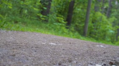 Adam ormanda yol boyunca koşuyor. Kamera aşağıdan vuruyor.