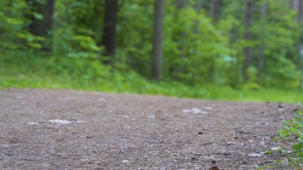 O homem corre pelo caminho na floresta. A câmera dispara de baixo . — Vídeo de Stock