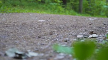 Kadın ormanda yol boyunca koşuyor. Kamera aşağıdan vuruyor.