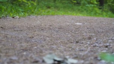 Kadın ormanda yol boyunca koşuyor. Kamera aşağıdan vuruyor.