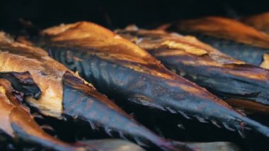 Duman evinde smocked scomber pişirme. Barbekü.