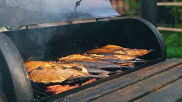 Smocked Scomber matlagning i metall rökhuset. — Stockvideo