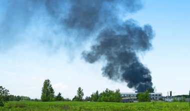 Depo ateşleme. Ormanda büyük yangın.