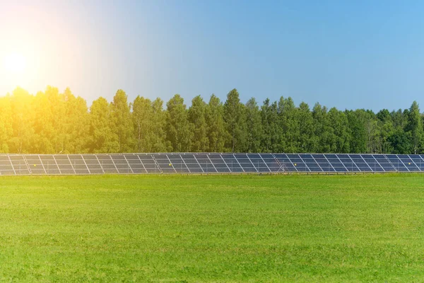 Paneles solares azules en el campo. Energía renovable . — Foto de Stock