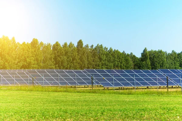 Paneles solares azules en el campo. Energía renovable . — Foto de Stock