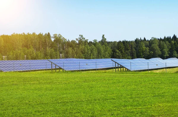Niebieski paneli słonecznych w polu. Odnawialne źródła energii. — Zdjęcie stockowe