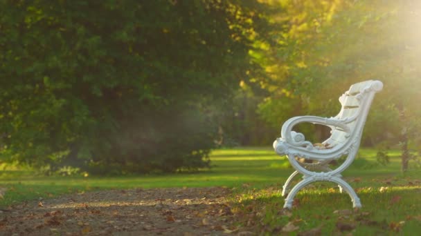 Одинокая Белая Скамейка Осеннем Парке — стоковое видео