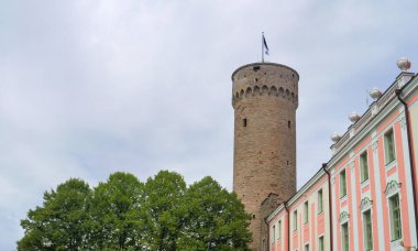 Estonya Parlamentosu binası. Toompea castle.