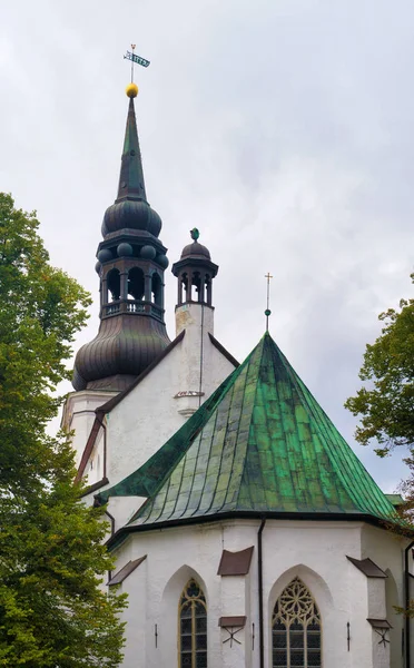 Kilátás a Szent Mária székesegyház régi Tallinn. — Stock Fotó