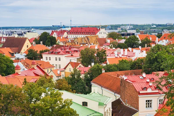 Callejuelas estrechas en Tallin, Estonia. Vista superior . —  Fotos de Stock