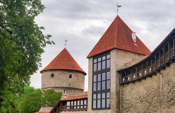 Maiden's tower in old Tallinn, Estonia. Neitsitorn. — Stock Photo, Image