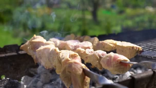 烧烤季节已经开始了 后院里的猪肉串 — 图库视频影像