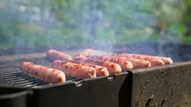 Die Grillsaison Ist Eröffnet Grillwürste Auf Hinterhof — Stockvideo