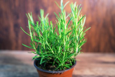 Mutfakta biberiye var..