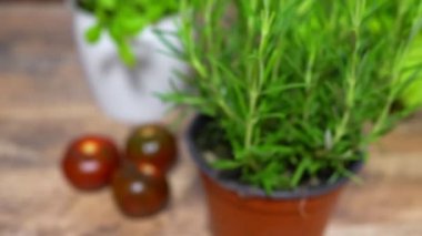 Mutfakta biberiye var..