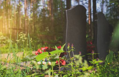 Orman mezarlığındaki anıt taş..