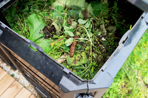 Top view inside of compost container bin outdoors.