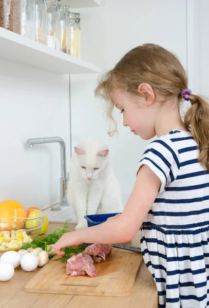 Gadis Kecil Dengan Kucing Putih Membuat Makanan Dapur — Stok Foto