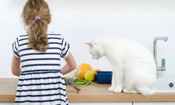 在厨房里和白猫一起做饭的小女孩 — 图库照片