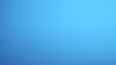 Mavi arka planda yumurta yuvarlanıyor. Metin için yer.