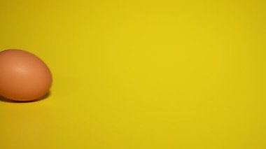 Sarı arka planda yumurta yuvarlanıyor. Metin için yer.