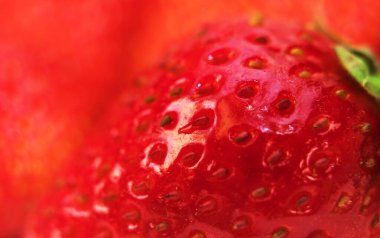 Kırmızı taze olgun çilekli Makro shot..