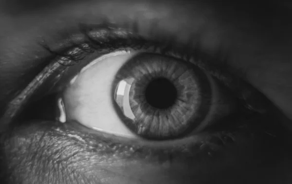 Macro shot woman eye. Black and white photo.