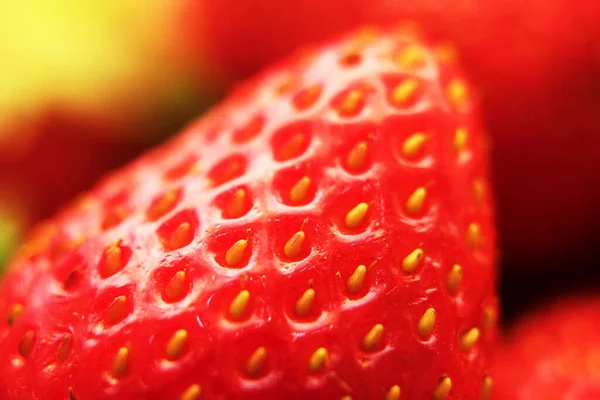 红鲜熟草莓大头照 — 图库照片