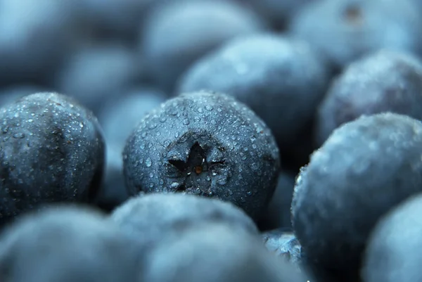 Makro Mokrych Świeżych Jagód — Zdjęcie stockowe