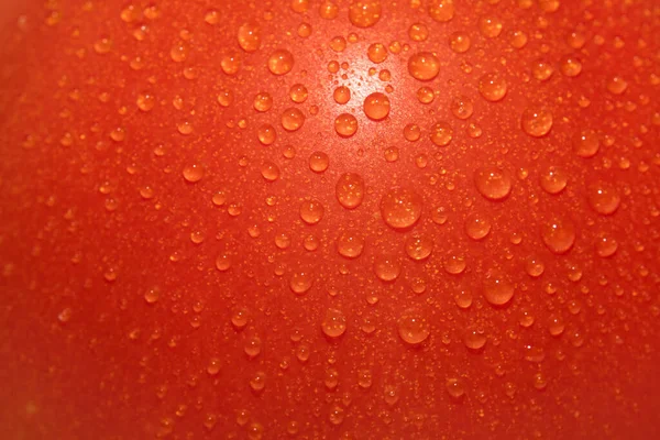 Macro Gotas Agua Sobre Tomate Rojo —  Fotos de Stock