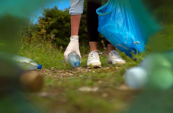 Collecte Volontaire Bouteilles Dans Forêt Vue Depuis Col Bouteille — Photo